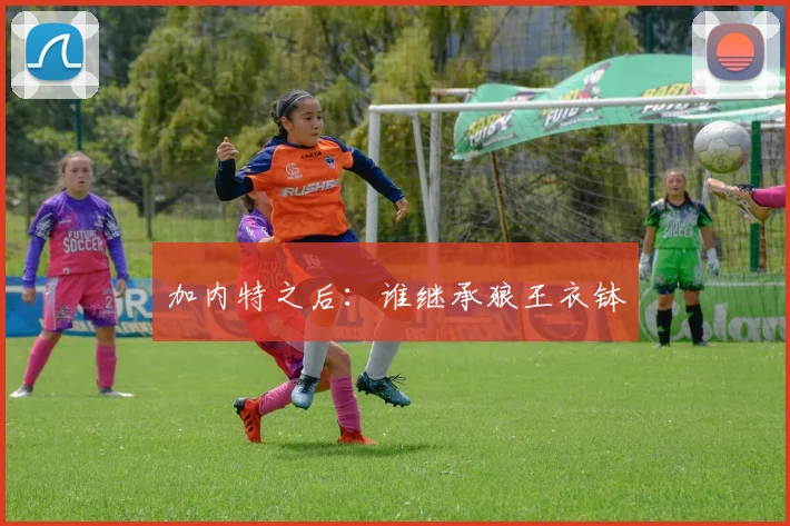 加内特之后：谁继承狼王衣钵