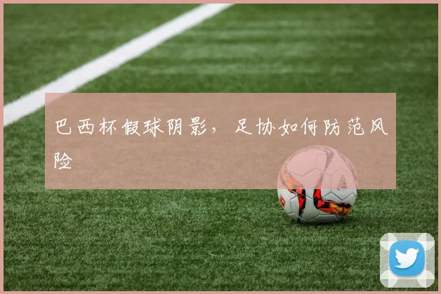 巴西杯假球阴影，足协如何防范风险