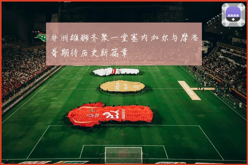 非洲雄狮齐聚一堂塞内加尔与摩洛哥期待历史新篇章