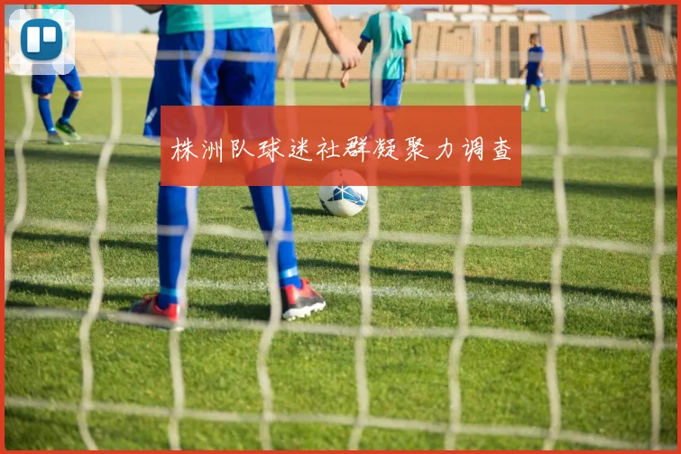 株洲队球迷社群凝聚力调查