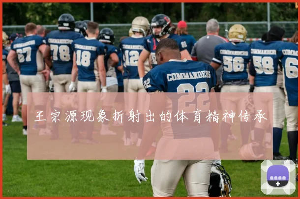 王宗源现象折射出的体育精神传承